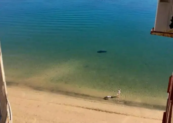 אכסניה El Mar *
